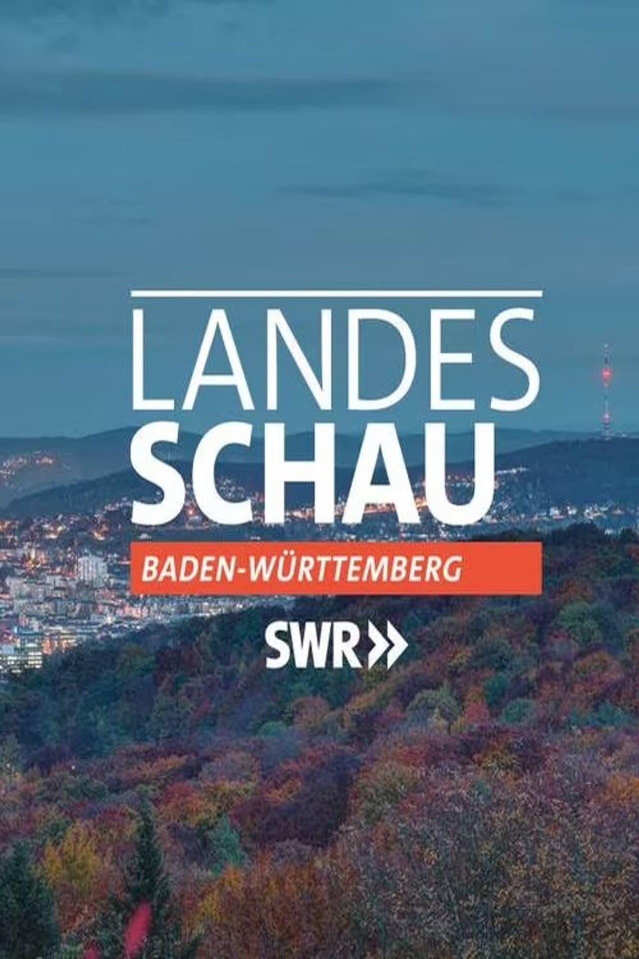 Landesschau Baden-Württemberg preview 1