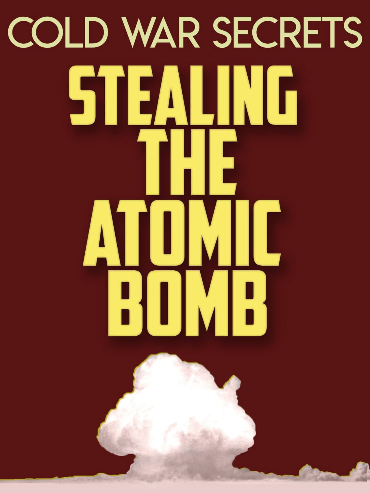 Cold War Secrets: Stealing the Atomic Bomb preview 2