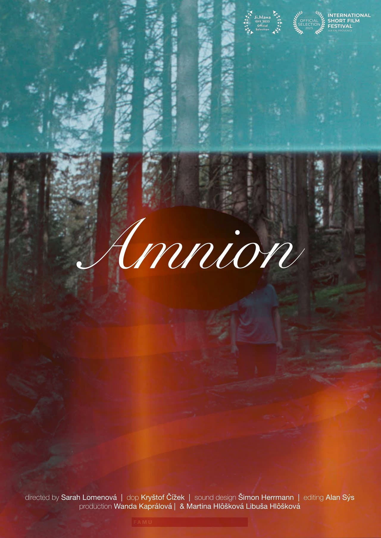 Amnion preview 2