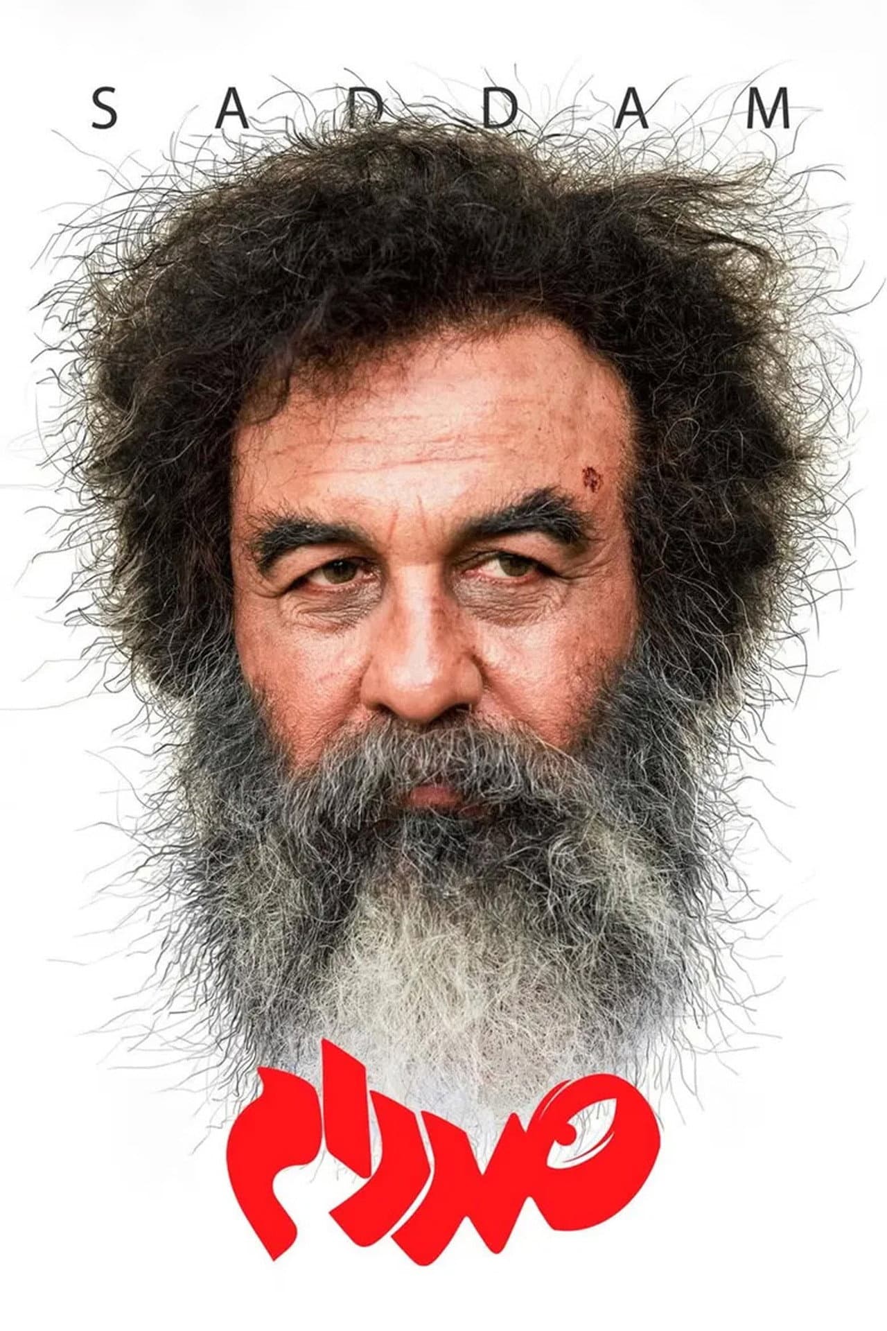 Saddam preview 2
