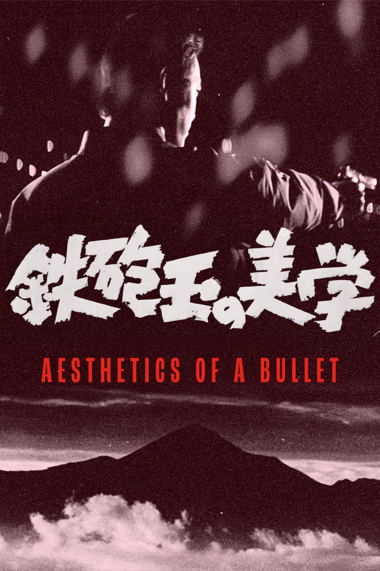 Aesthetics of a Bullet preview 2
