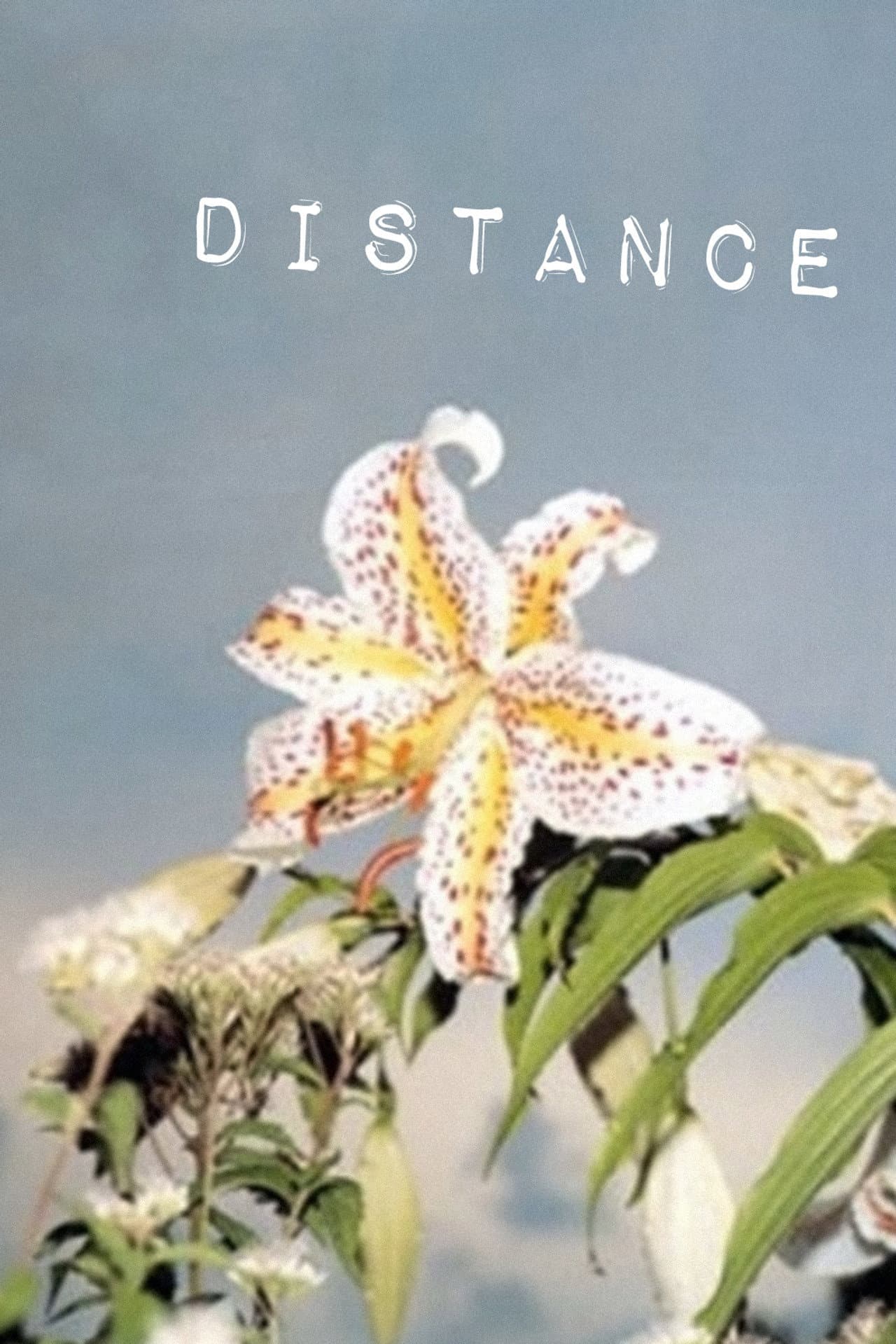 Distance preview 2