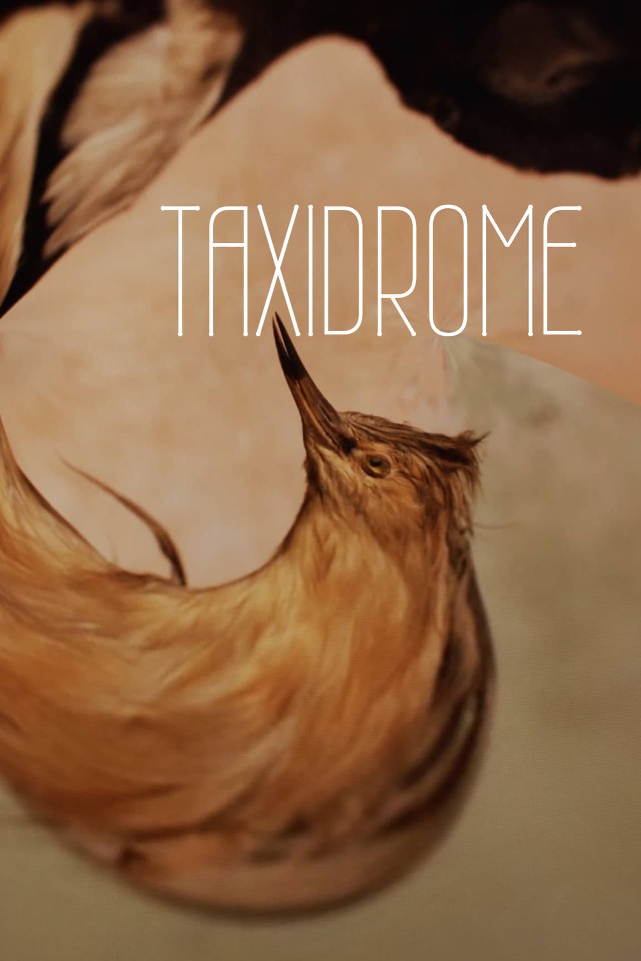 Taxidrome preview 2