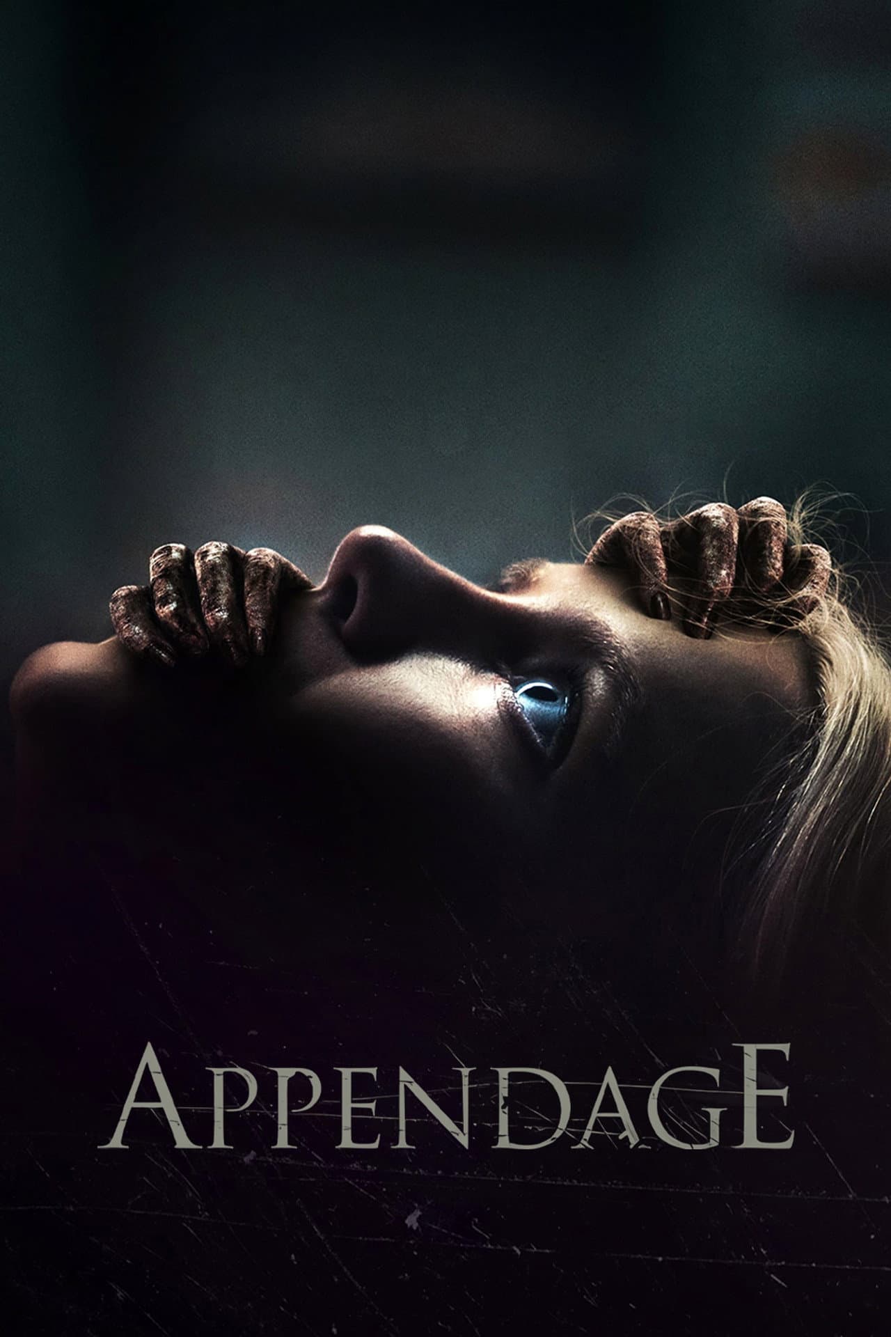 Appendage preview 2