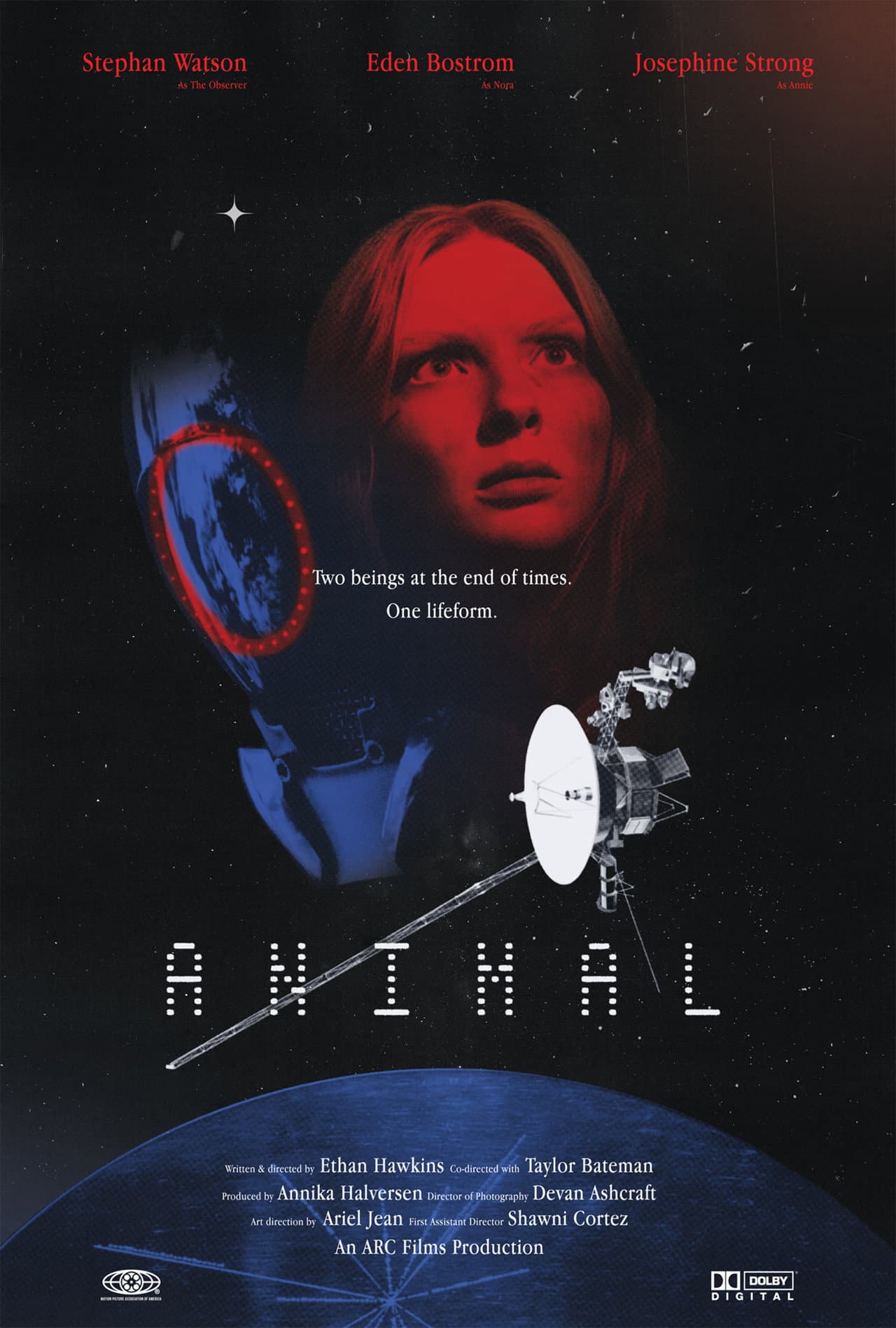 Animal preview 1