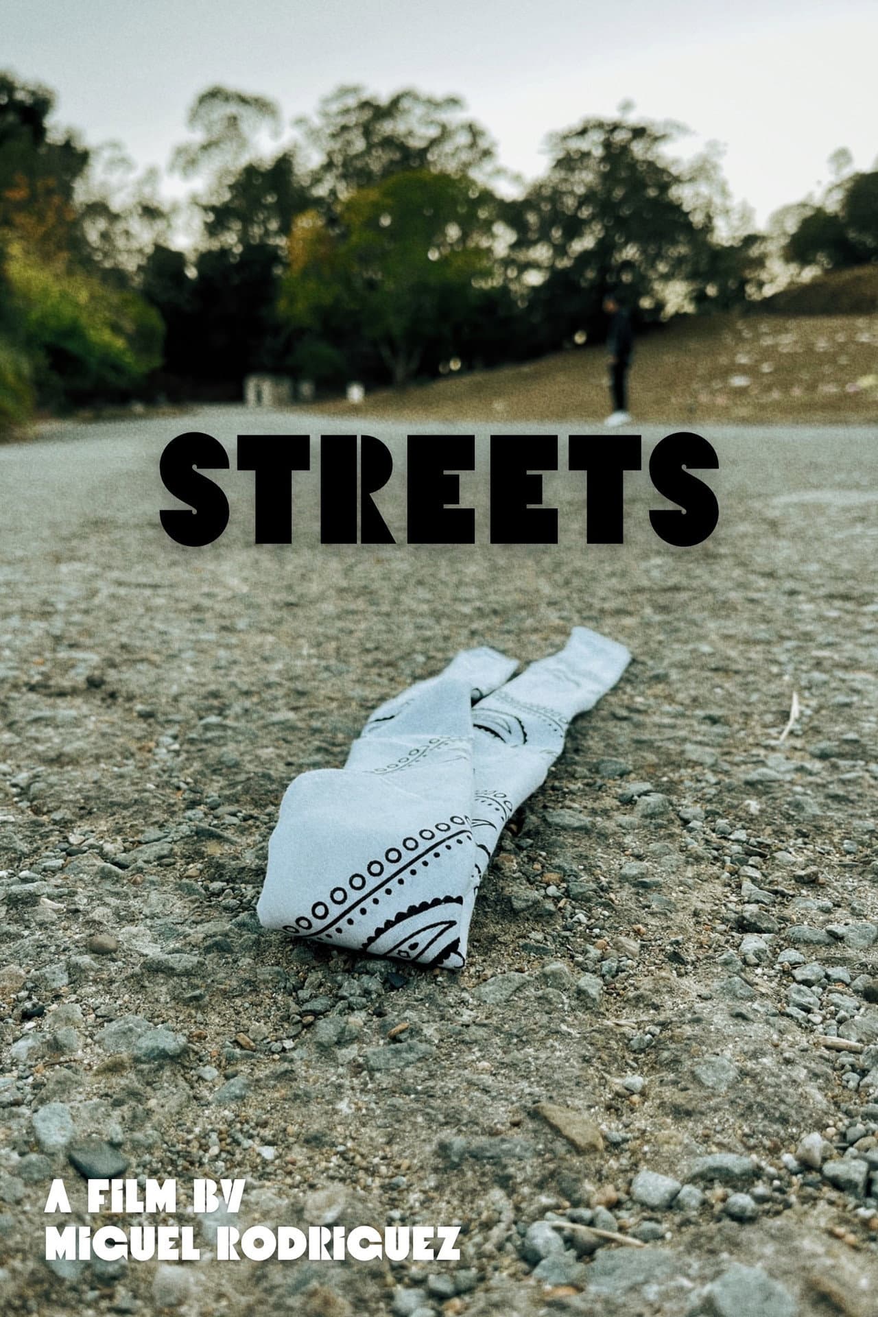 Streets preview 2
