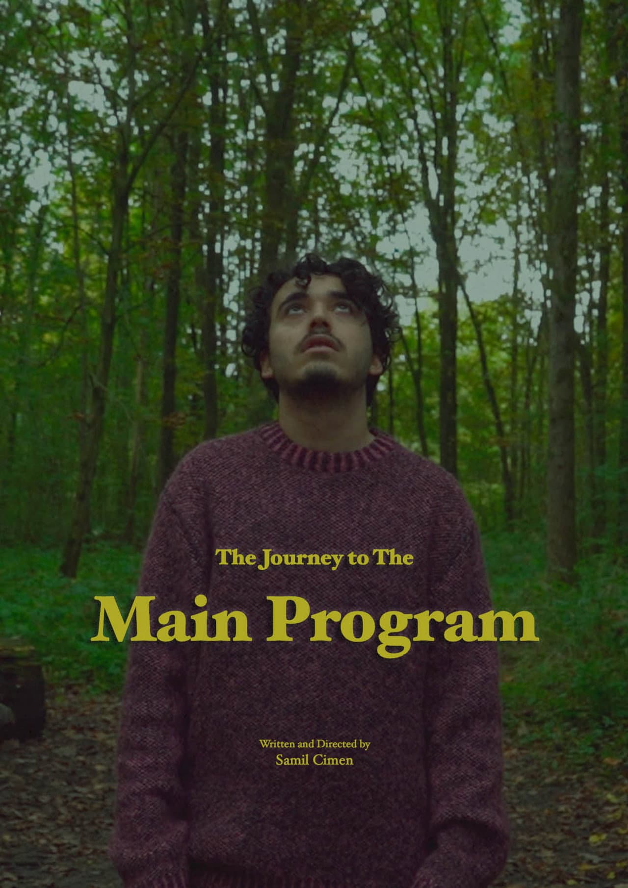 The Journey to The Main Program preview 2
