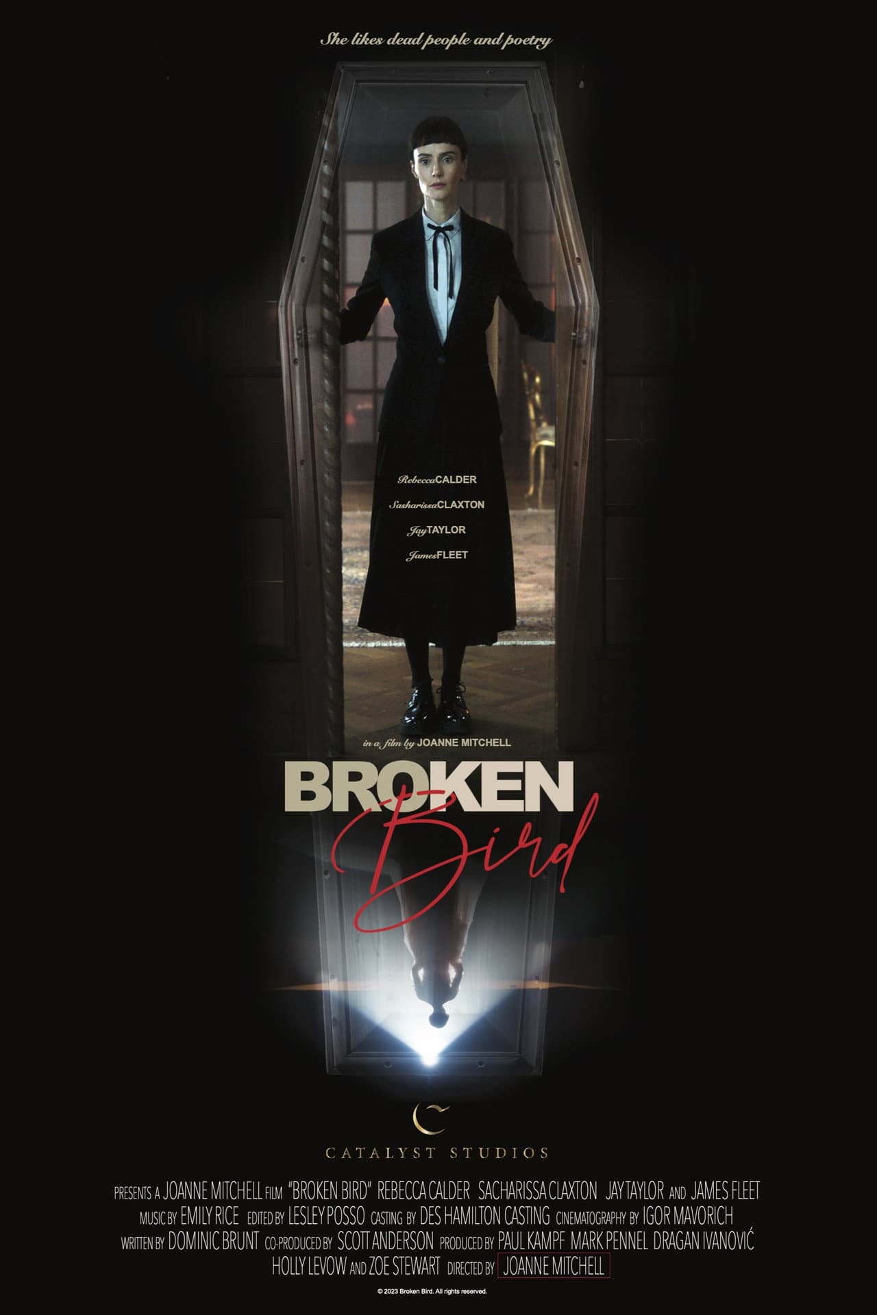 Broken Bird preview 2