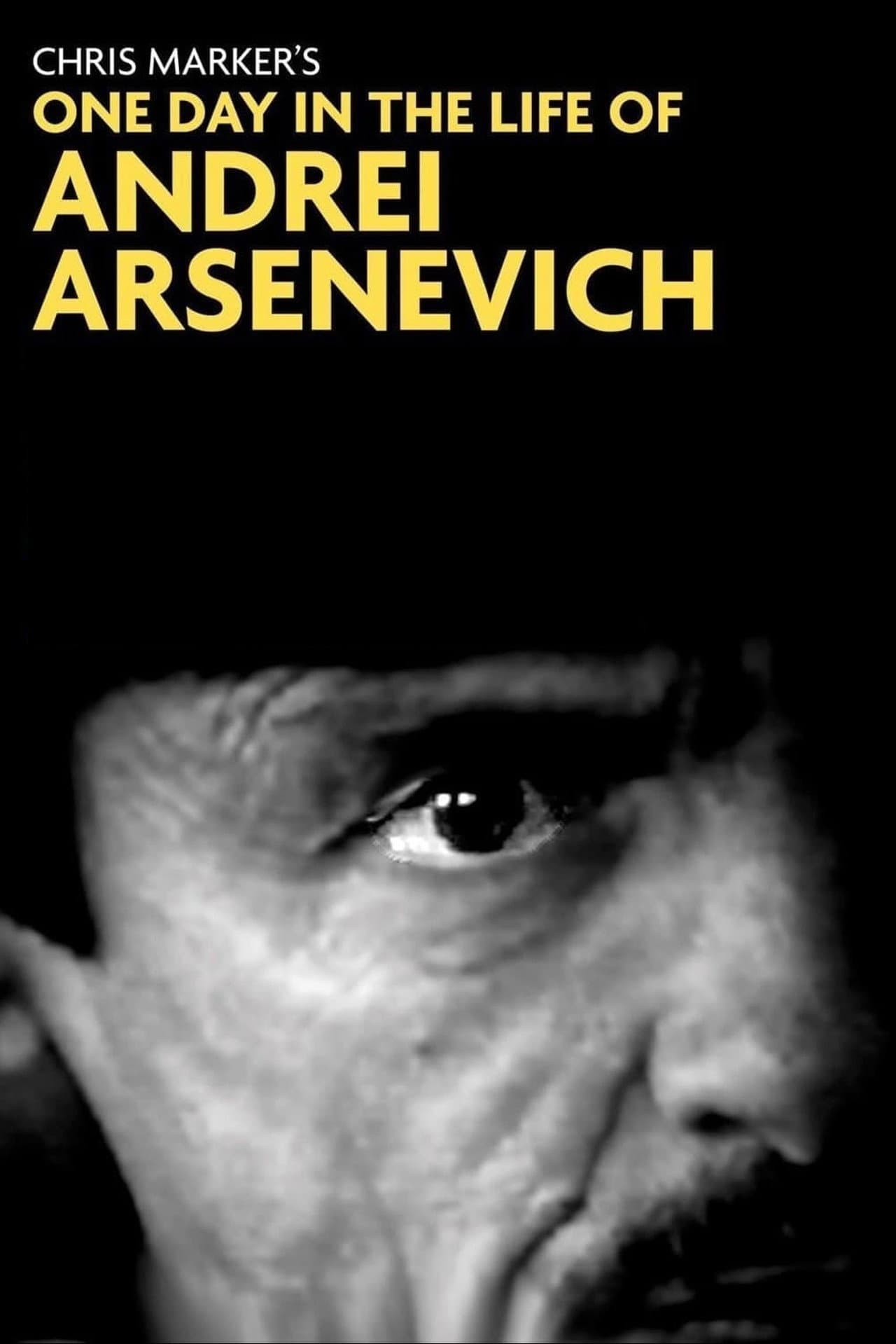 One Day in the Life of Andrei Arsenevich preview 2