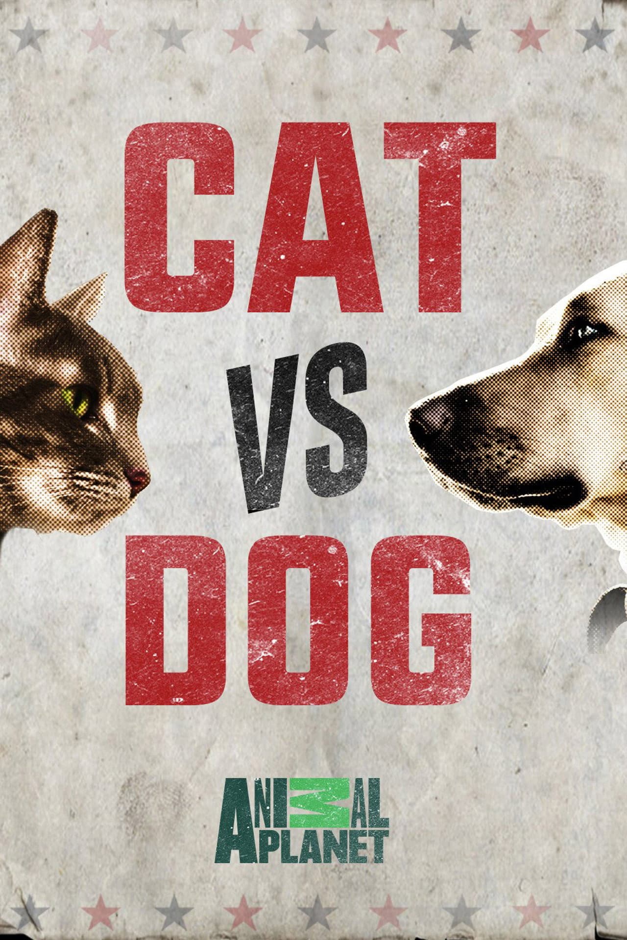 Cat vs. Dog preview 2