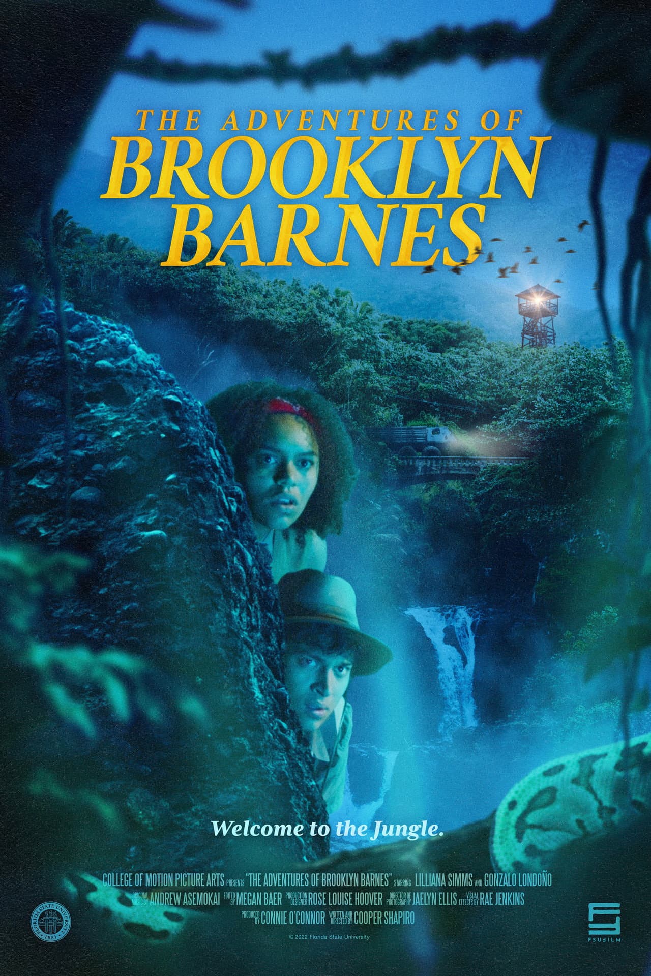 The Adventures of Brooklyn Barnes preview 1