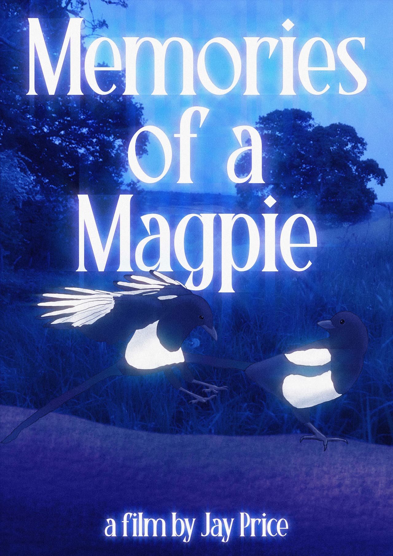 Memories of a Magpie preview 2