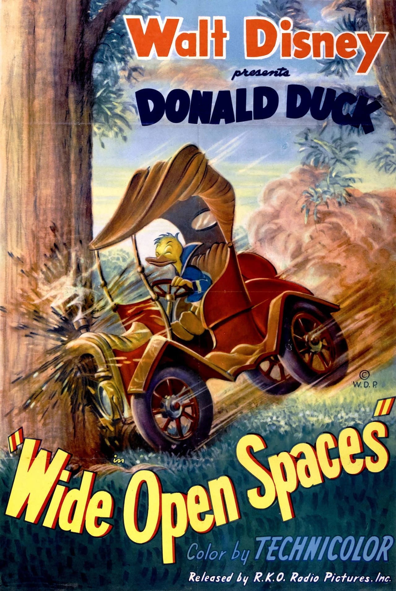 Wide Open Spaces preview 2