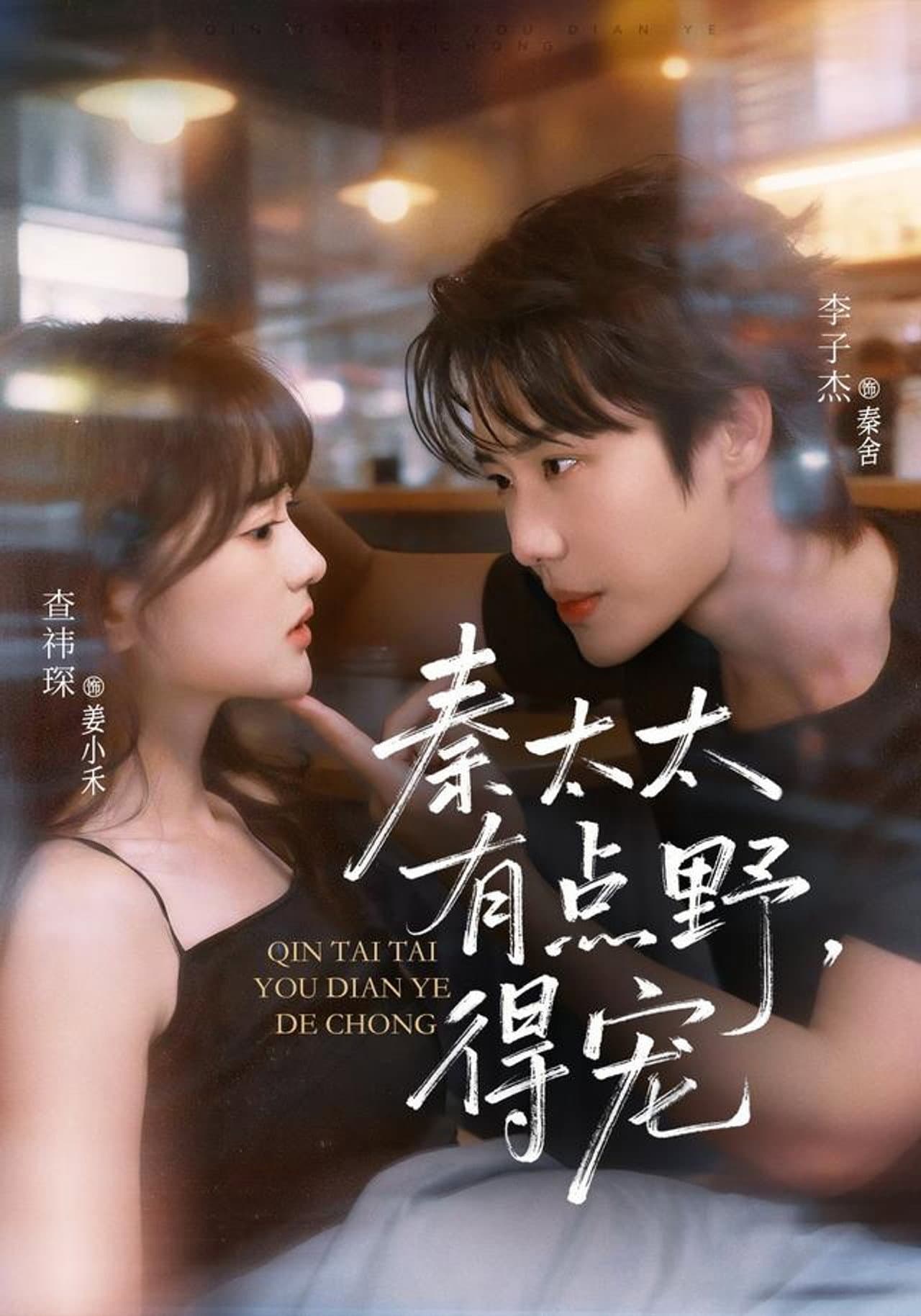 Doting Feisty Mrs. Qin preview 1