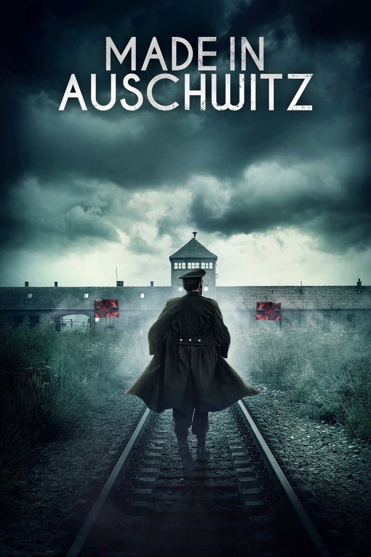 Made in Auschwitz: The Untold Story of Block 10 preview 2