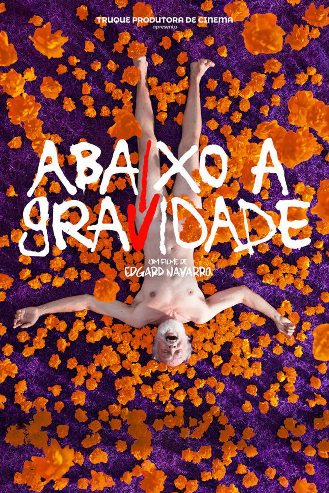 Abaixo a Gravidade preview 2