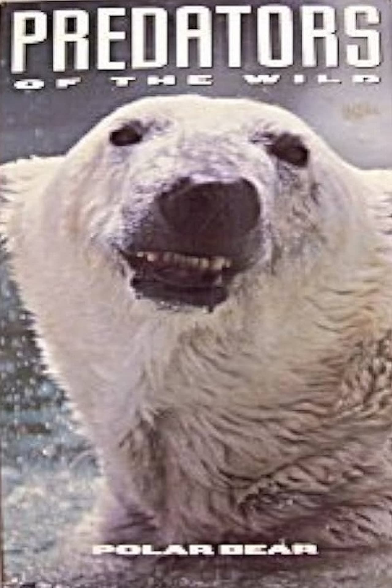 Predators of the Wild: Polar Bear preview 2