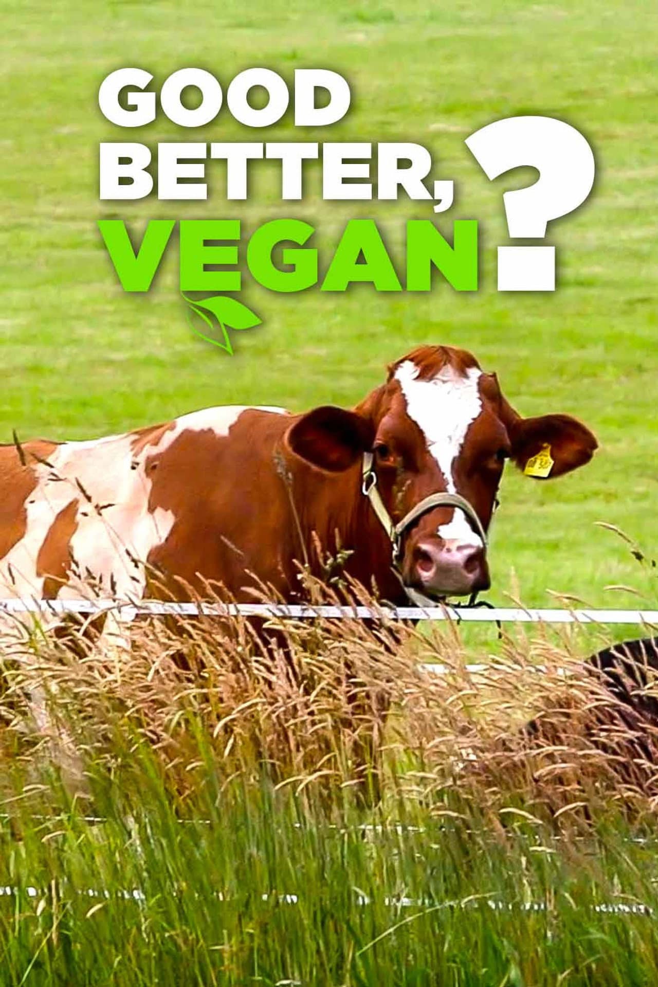Good, Better, Vegan? preview 1