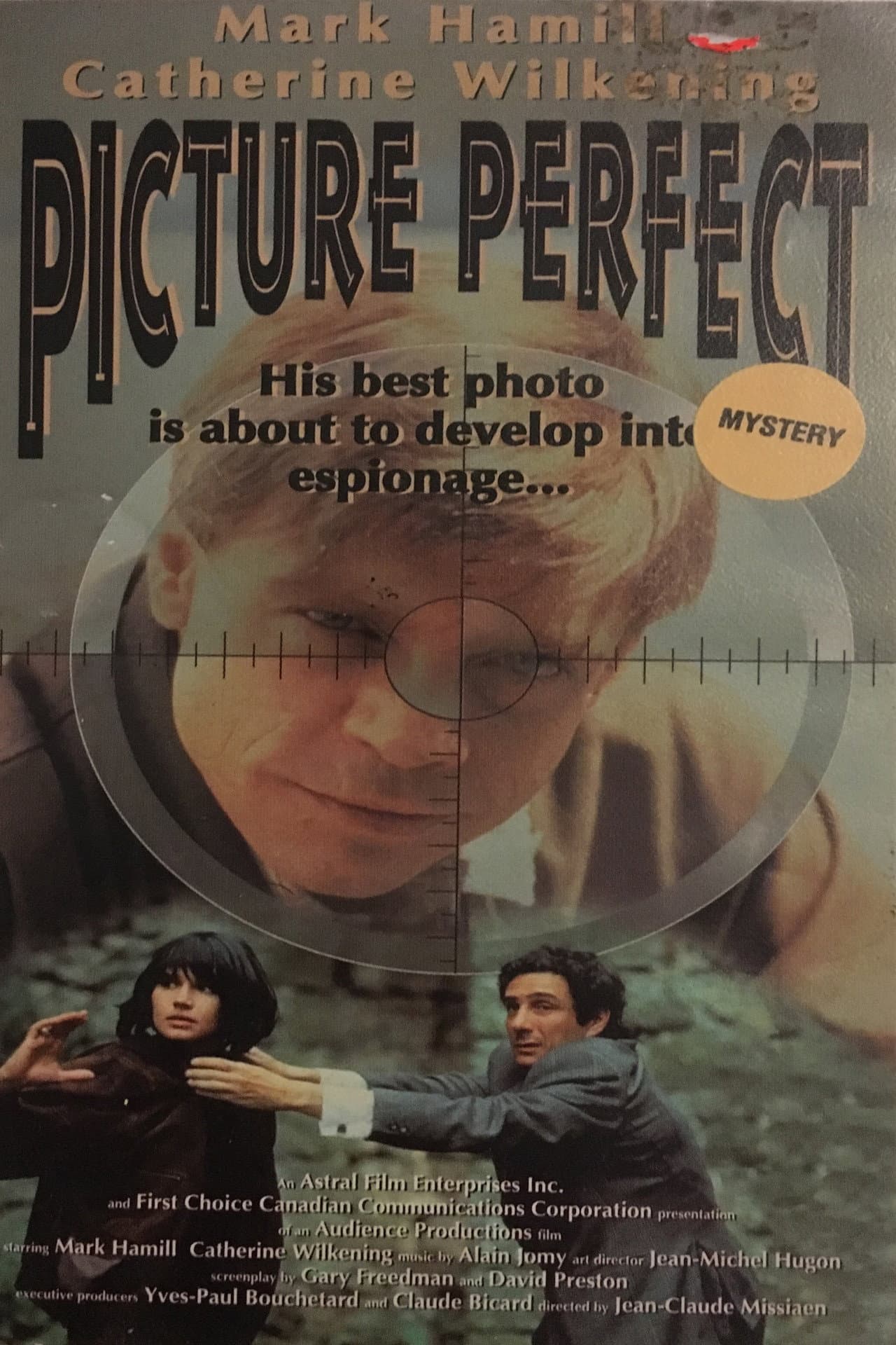 Picture Perfect preview 1