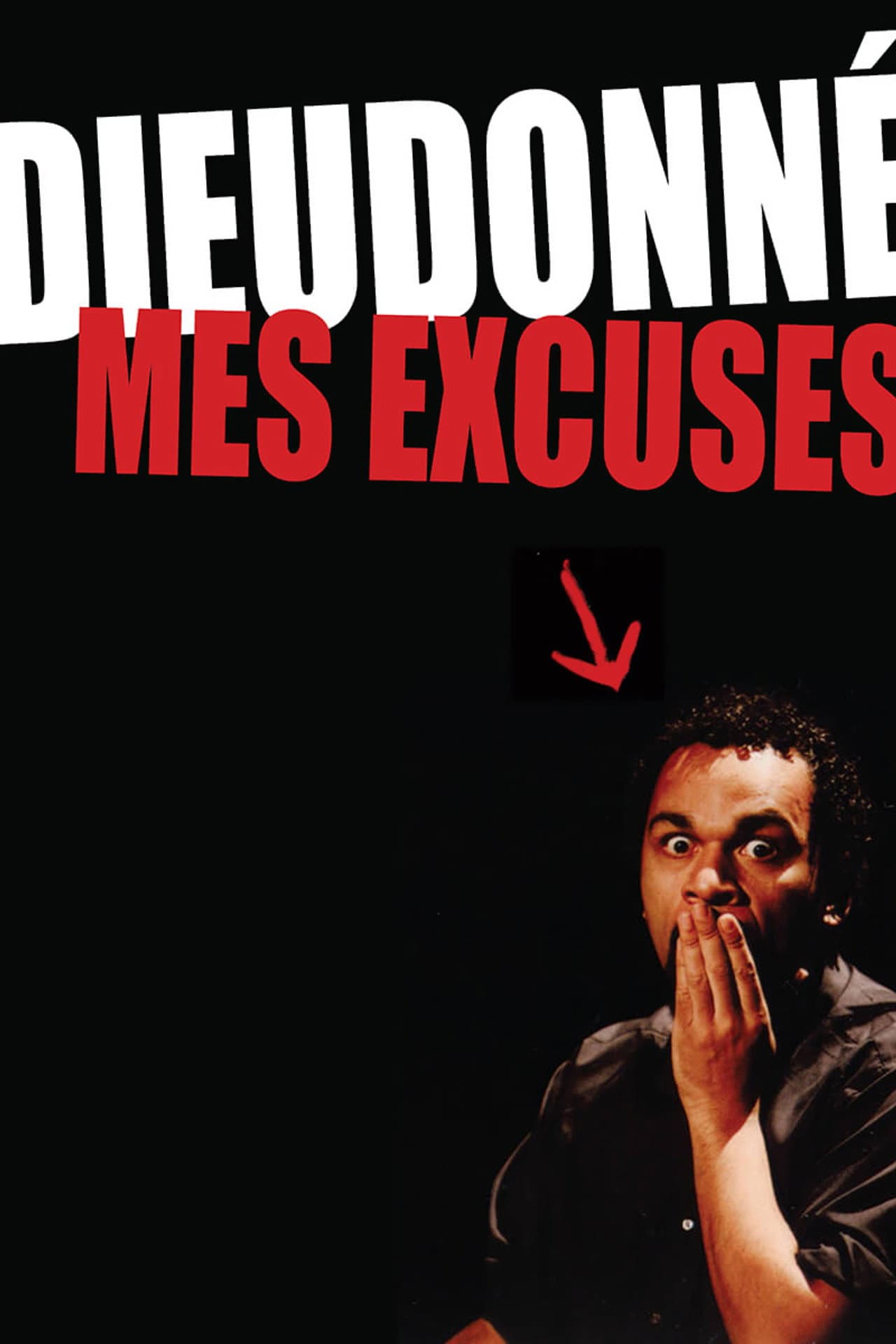 Dieudonné - Mes excuses preview 2