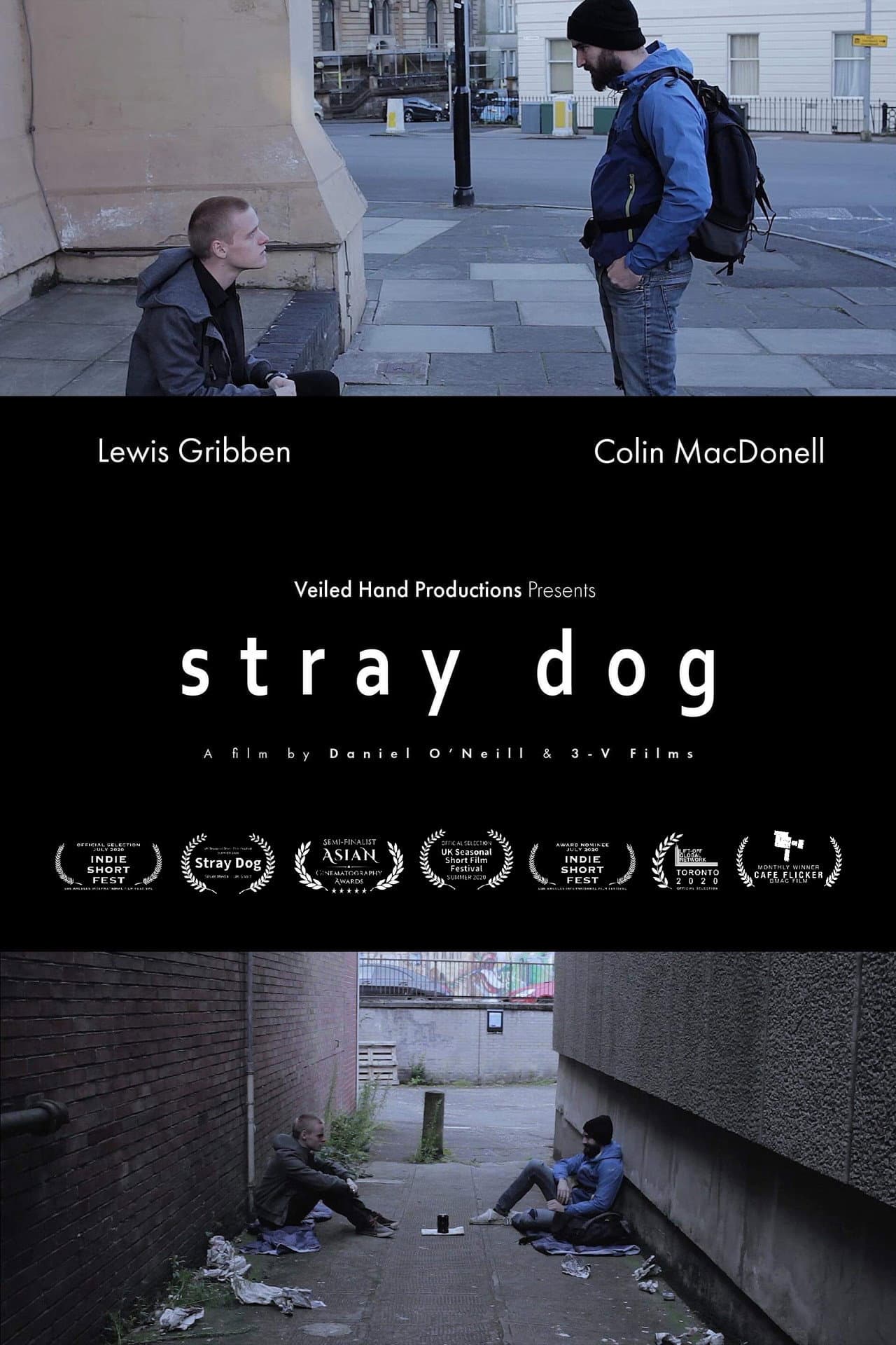Stray Dog preview 1