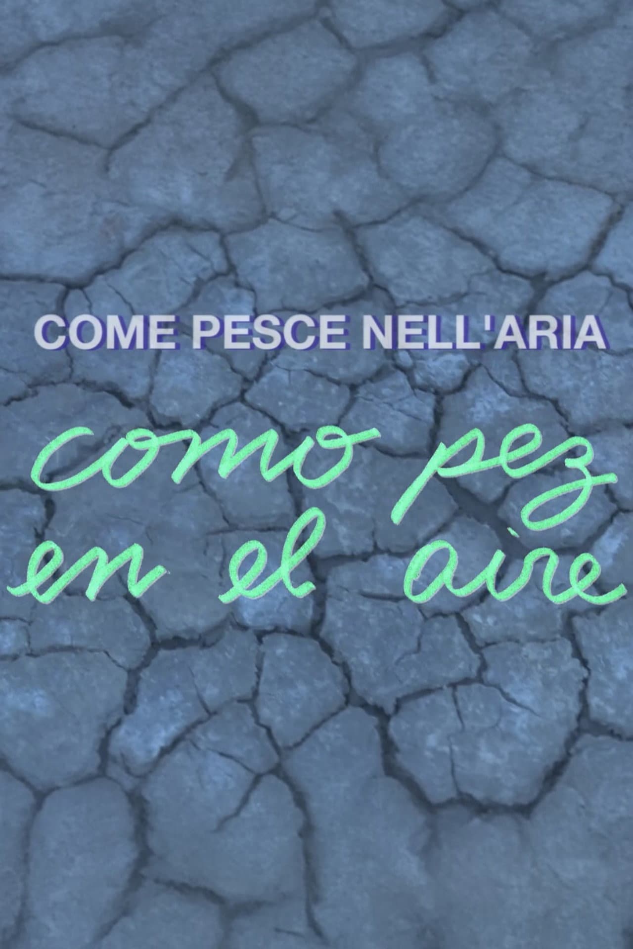 Como pez en el aire preview 2