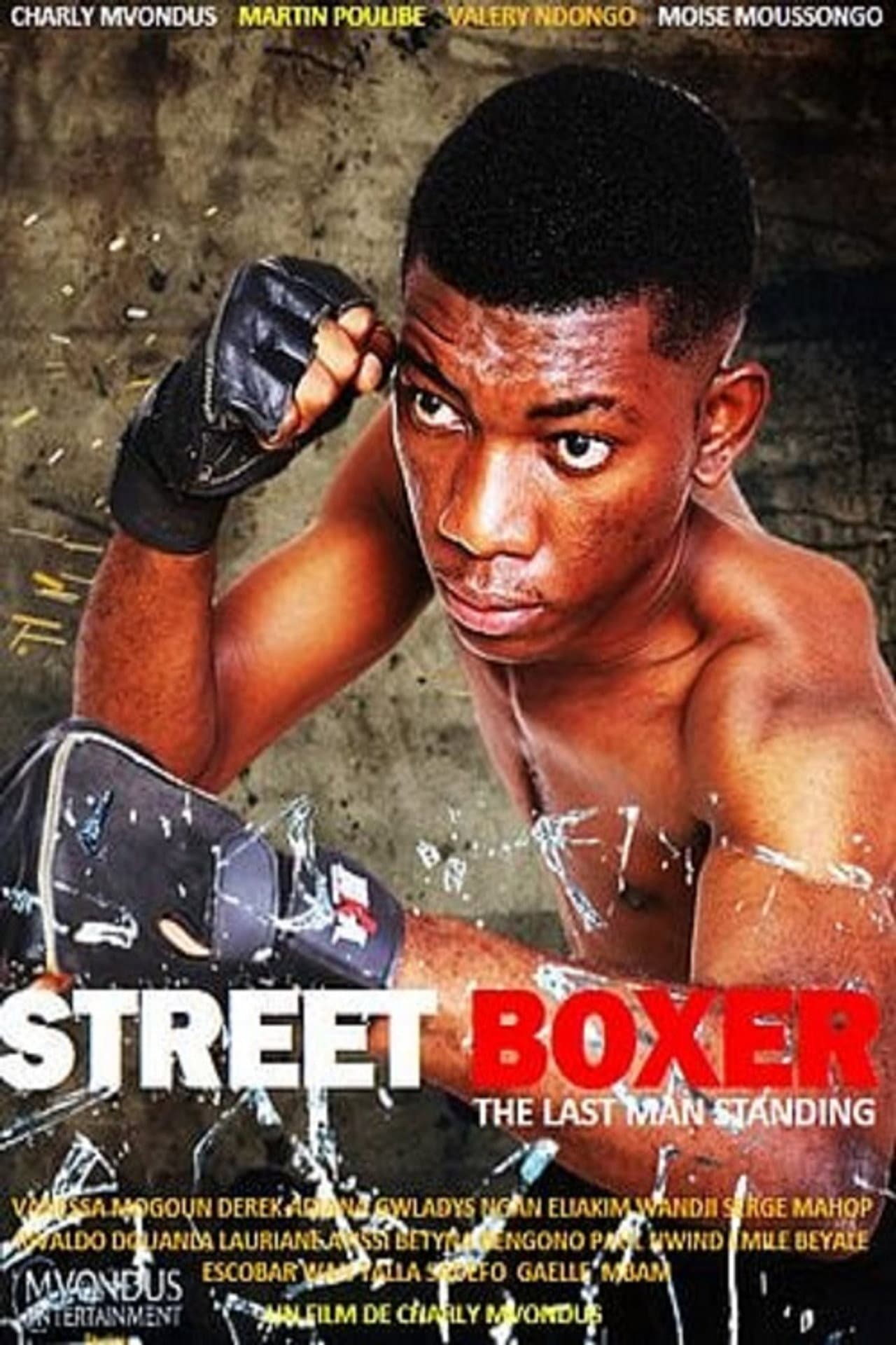 Street Boxer : The last man standing preview 2