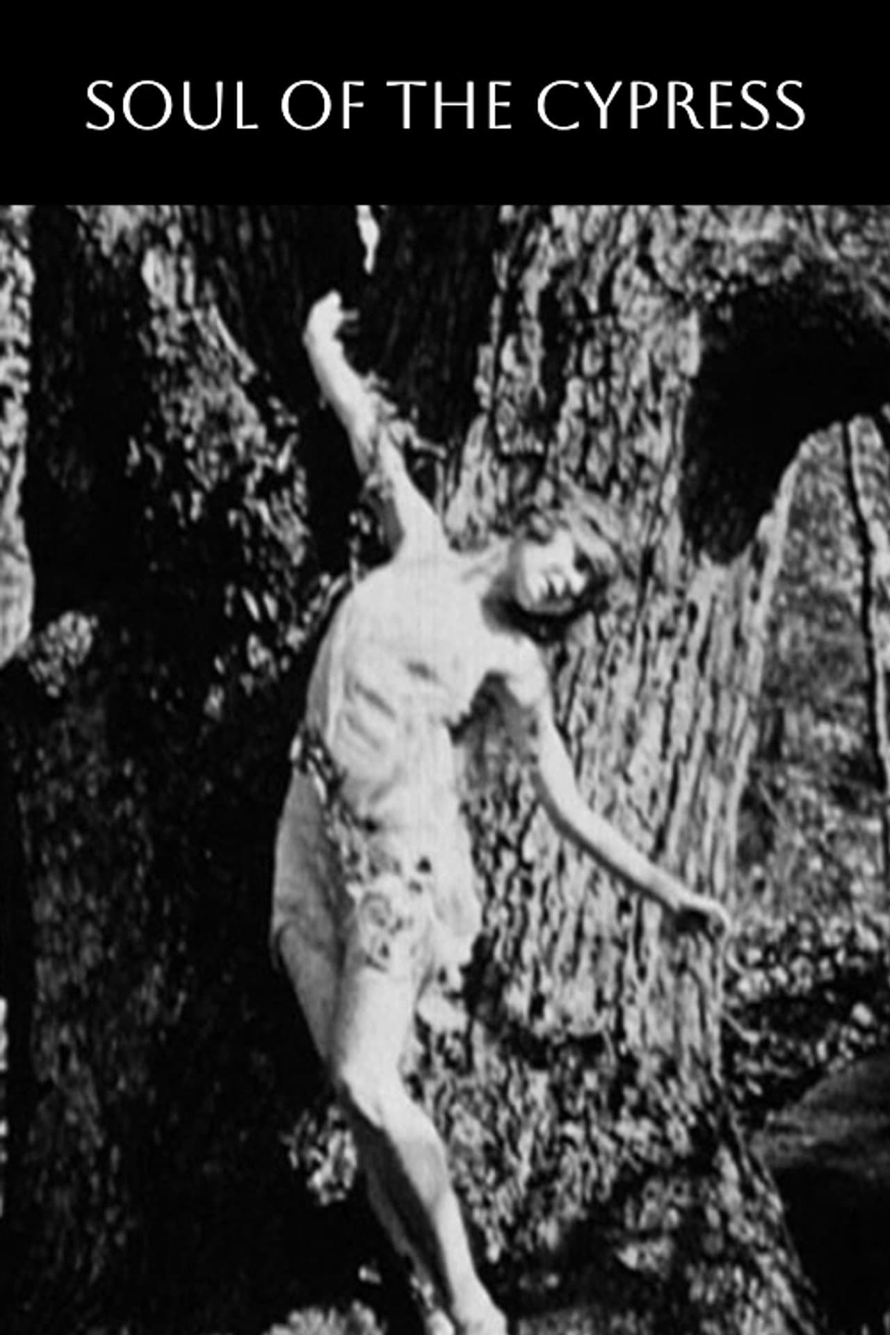 Soul of the Cypress preview 1