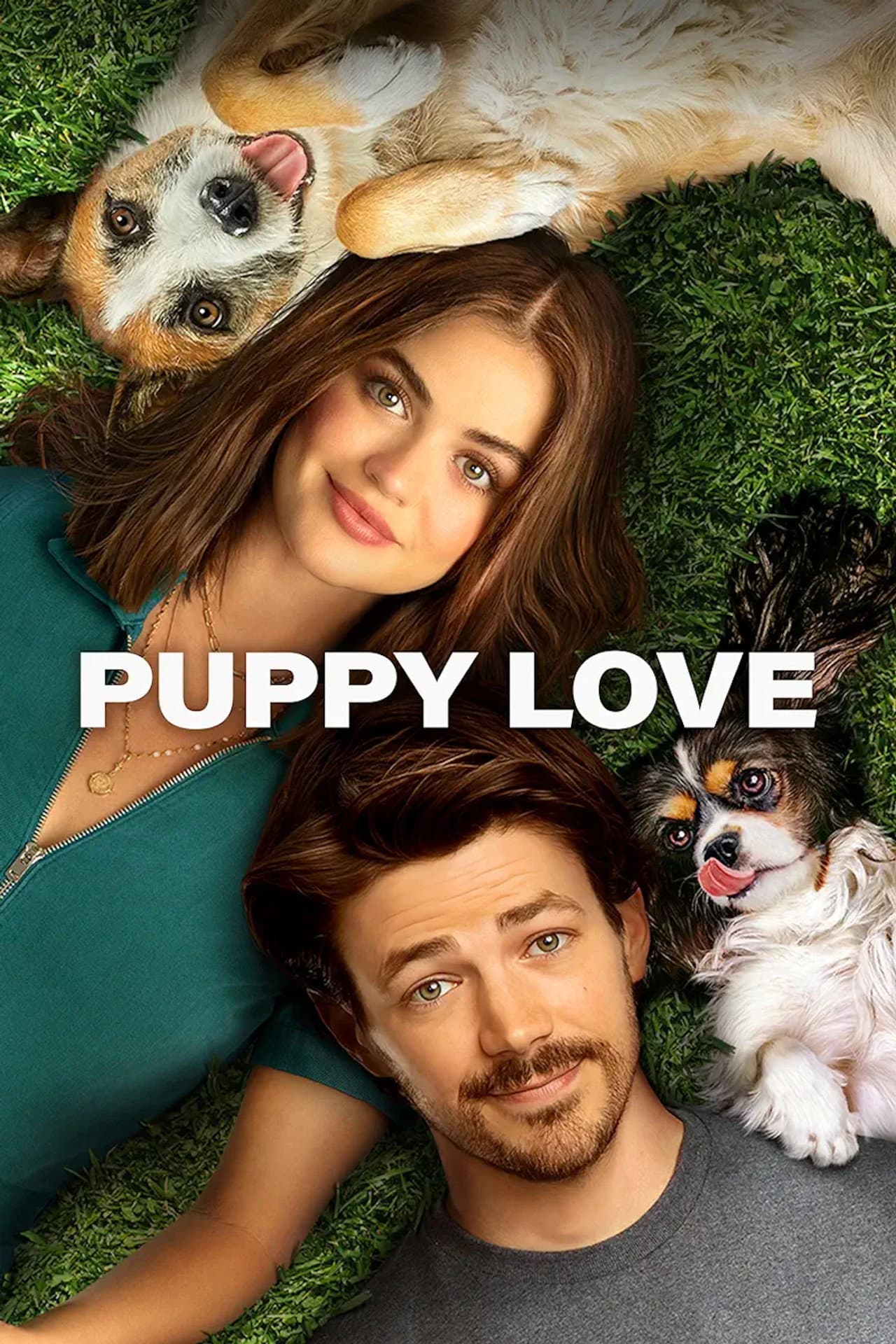 Puppy Love preview 2