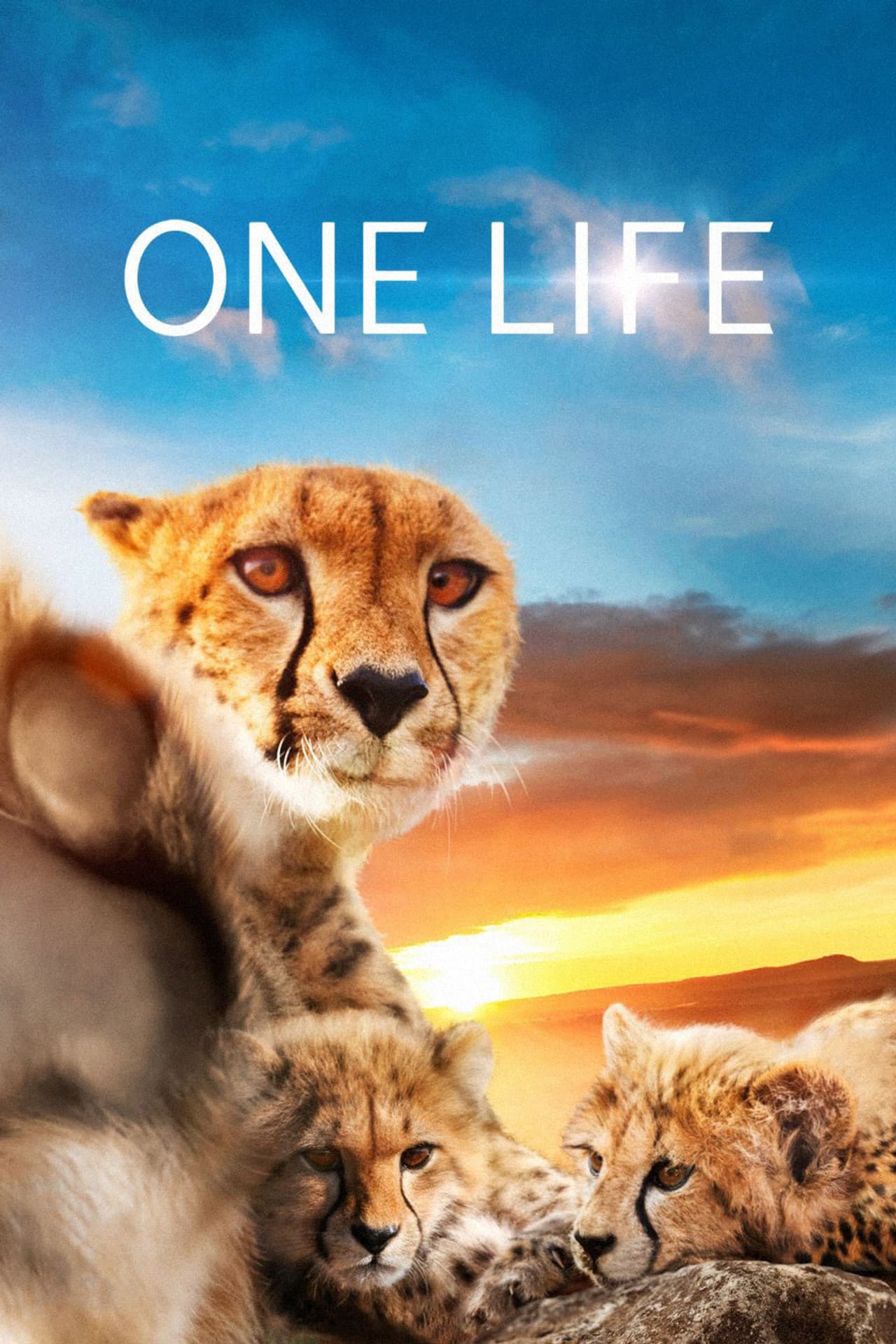 One Life preview 2