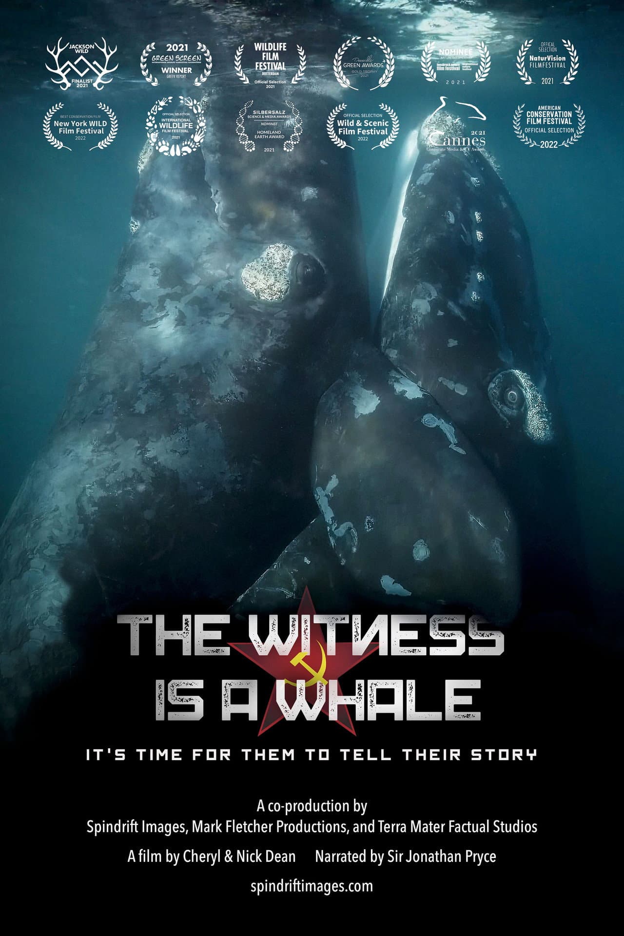 The Witness is a Whale preview 2