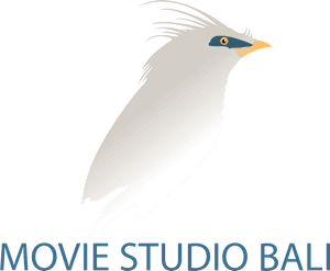 Movie Studio Bali