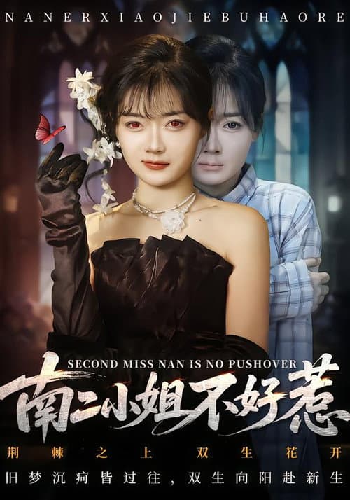 南二小姐不好惹