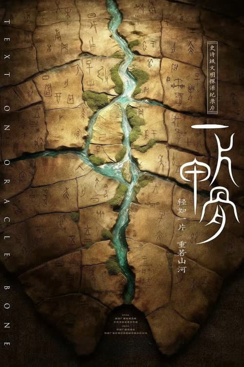 一片甲骨