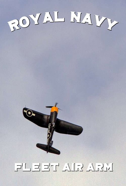 Navy Pilots: Fleet Air Arm